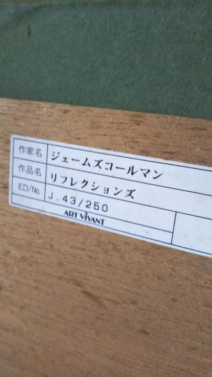 James Coleman - Reflections Ed250 Original Lithograph Print Signed Framed