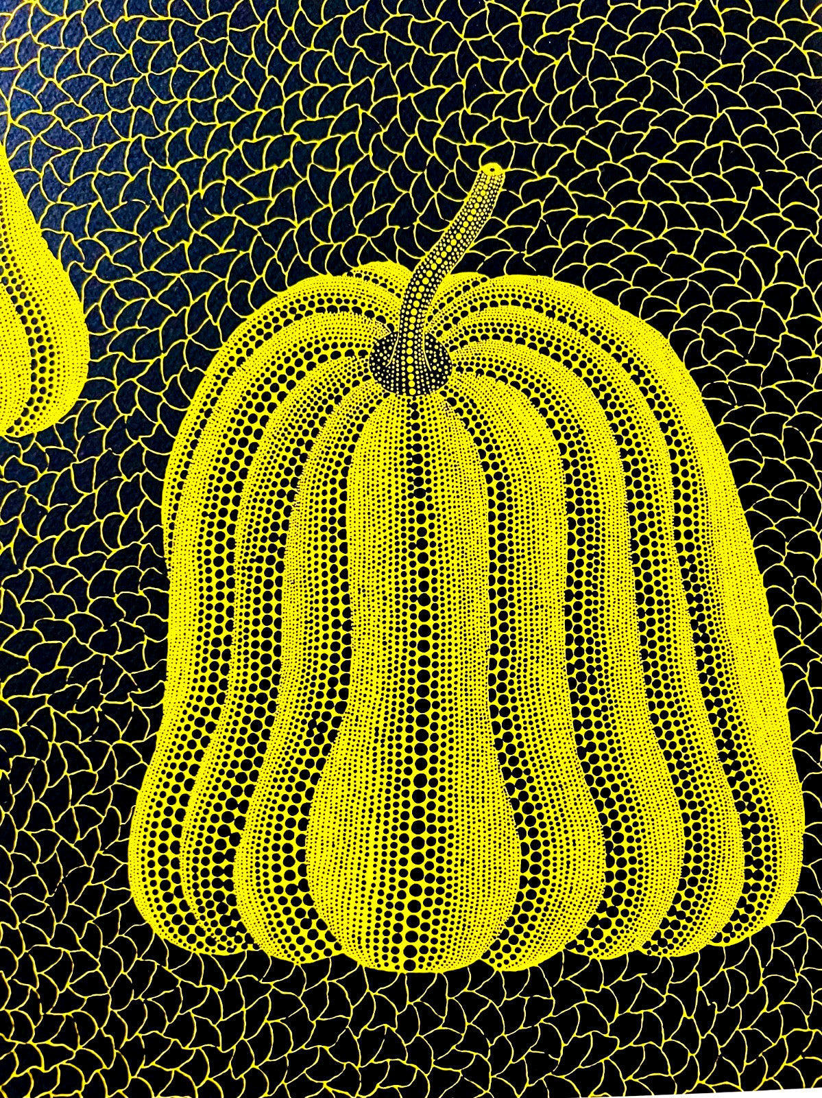 Yayoi Kusama Lithograph Mori Museum Coa Original Numbered Limited To 200