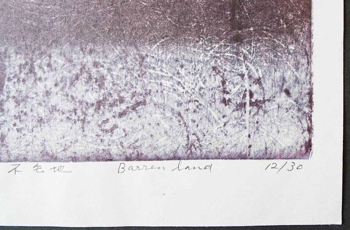Vintage Hideo Hagiwara Soil No.20 Barren Land Woodblock Signed ED 12/ 30 Japanese