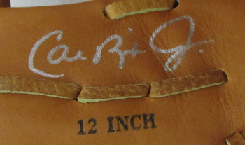 Cal Ripken Jr Hof Signed/Auto Rawlings Crjr2131 Baseball Glove Orioles 194021