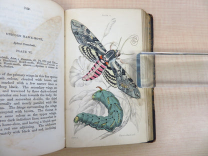 James Duncan?The Naturalist'S Library 4?1836 British Moth Book