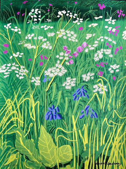 David Hockney Lithograph Handmade Coa Signed Op Numbered Limited &