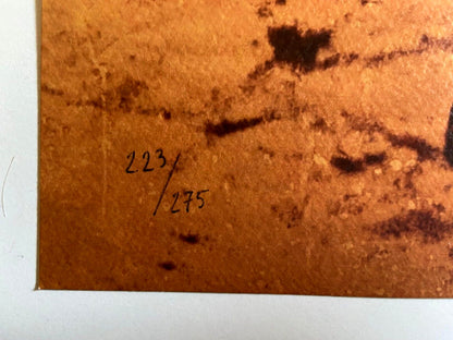 Joseph Beuys 'The Revolution Is Us'