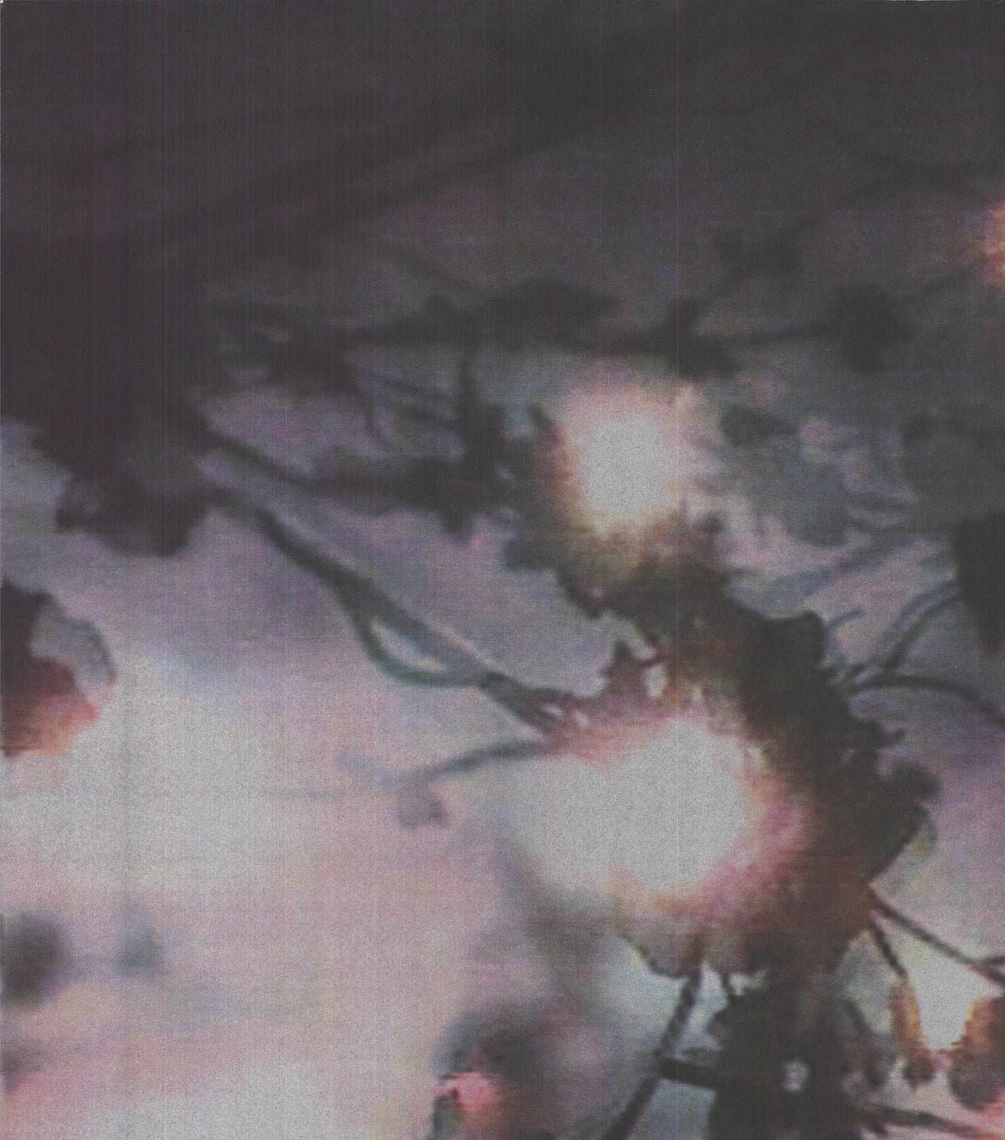 Ena Swansea American Dance Festival " Serigraph African Amer