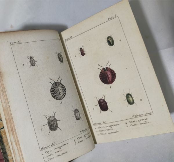 1813 Histoire Naturelle Des Insectes Tome Ix De Tigny Hand-Colored Plates Buffon