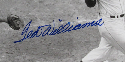 Ted Williams Red Sox Signed/Autographed 16X20 B/W