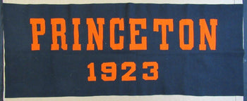 Vintage Princeton Ivy League Tigers 55X22 Black