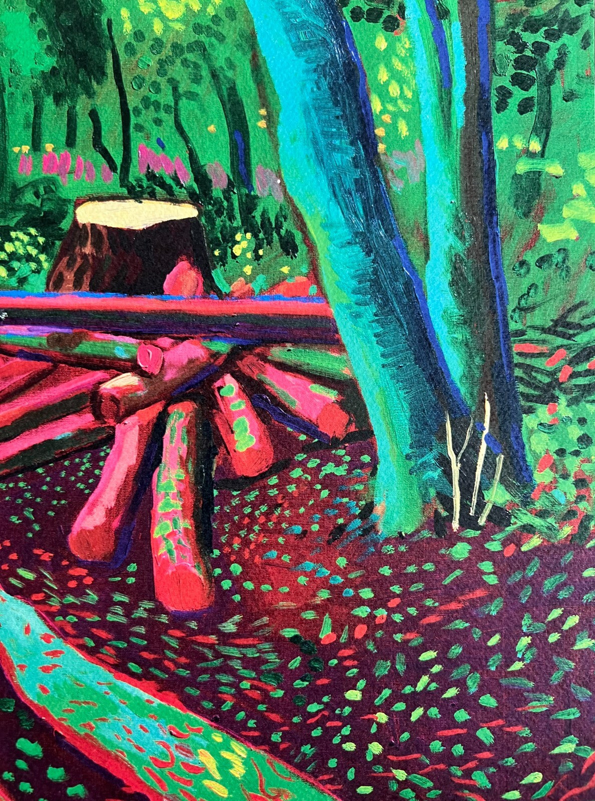 David Hockney Lithograph Coa Signed Op Numbered A Hand Limited &