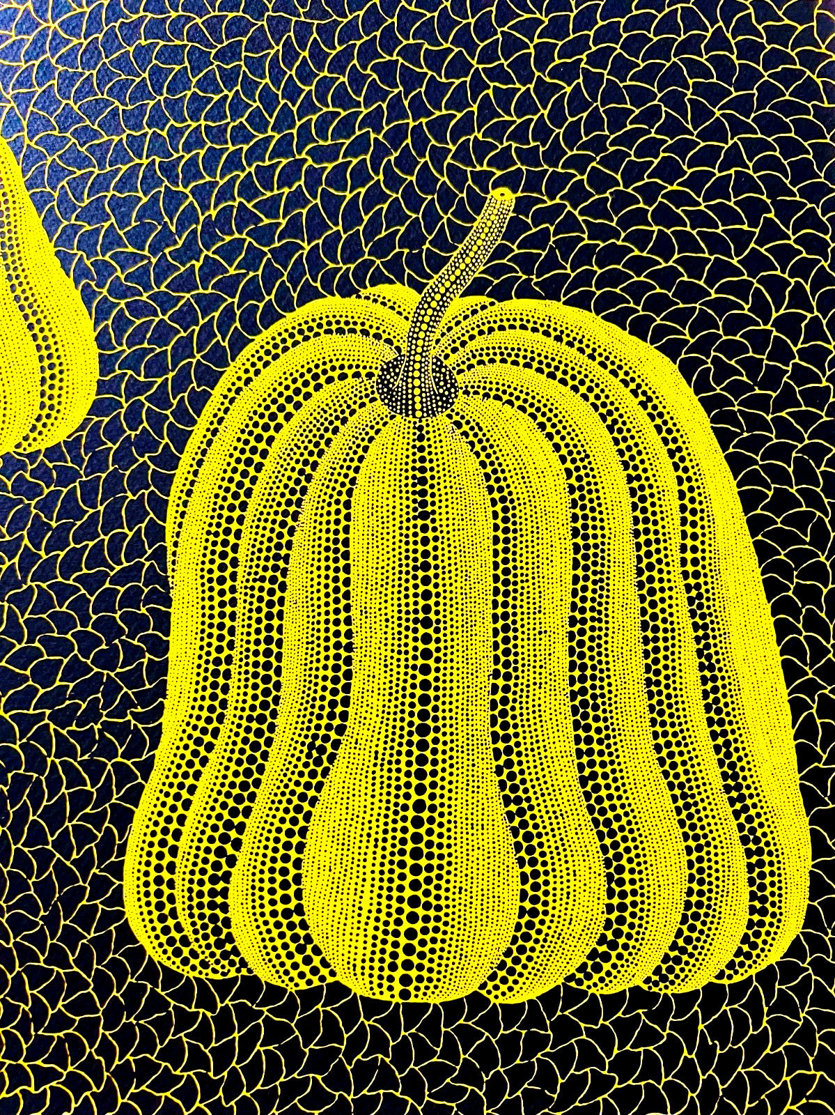 Yayoi Kusama Lithograph Mori Museum Coa Original Numbered Limited To 200