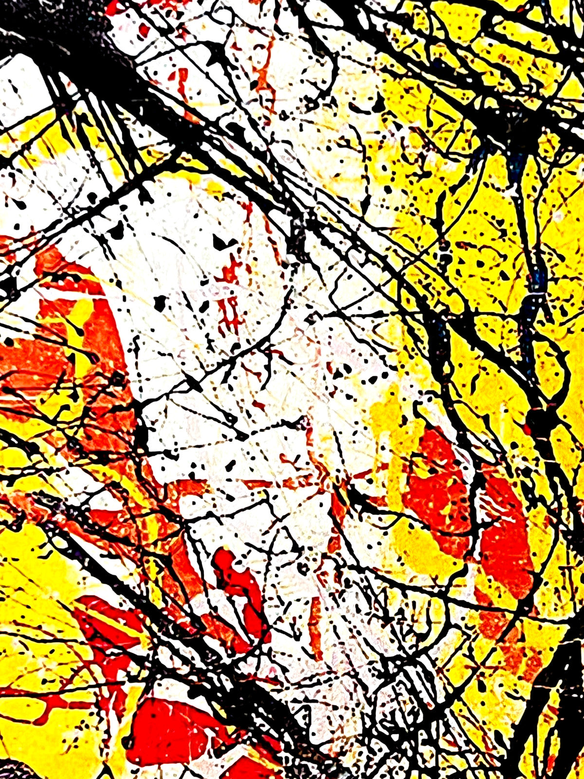 Jackson Pollock Action Painting Coa Signed Numbered In Pencil Limited Edition