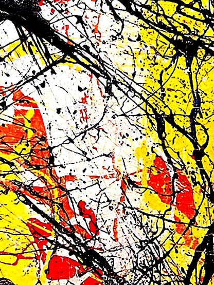 Jackson Pollock Action Painting Coa Signed Numbered In Pencil Limited Edition