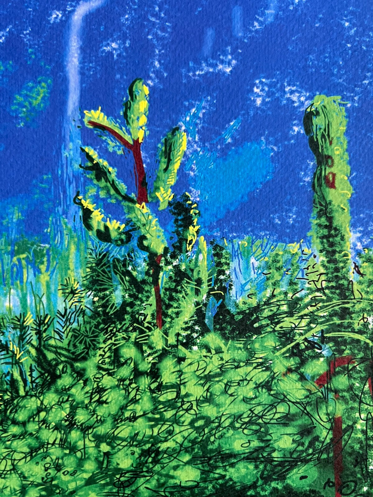 David Hockney Lithograph Coa Signed Op Hand Numbered Limited