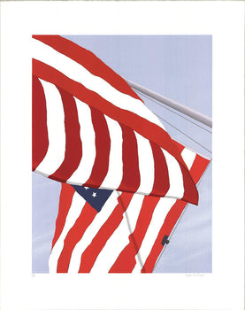 Gretchen Dow Simpson Flags Signed 