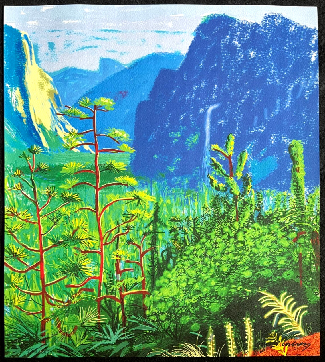 David Hockney Lithograph Coa Signed Op Hand Numbered Limited