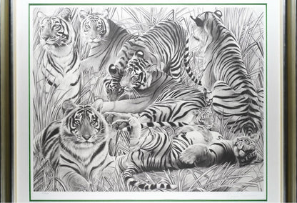 Beppe Spadacini (Italy) Original Silkscreen Print Save The Tigers Signed Framed