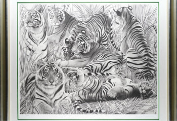 Beppe Spadacini (Italy) Original Silkscreen Print Save The Tigers Signed Framed