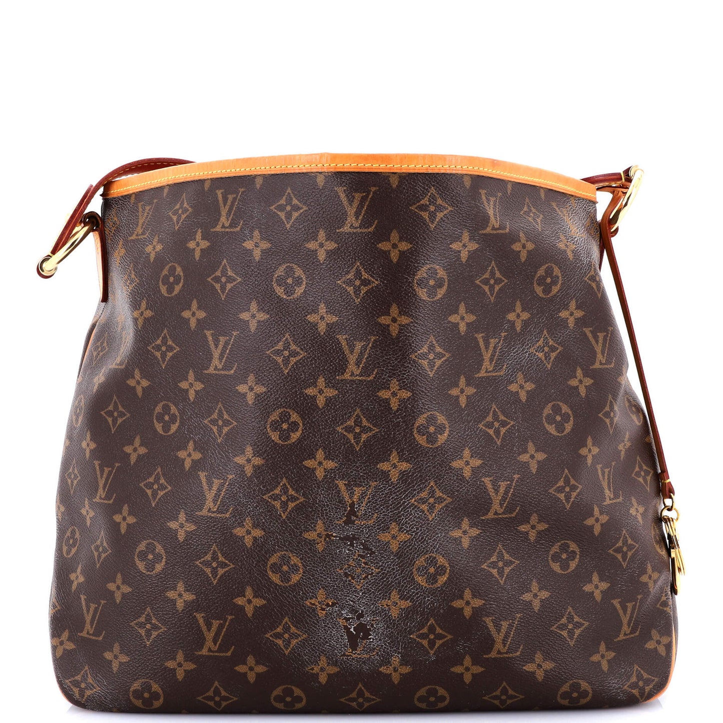 Louis Vuitton Delightful Nm Handbag Monogram Canvas Mm