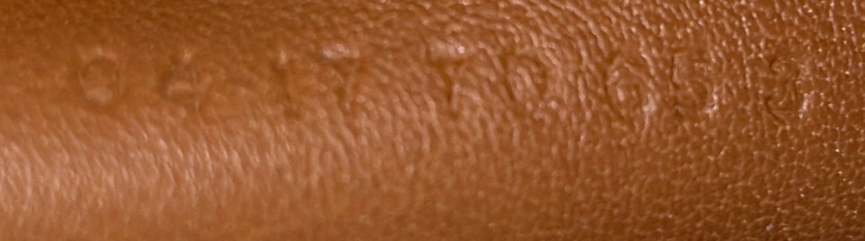 Chloe Nile Crossbody Bag Leather Medium