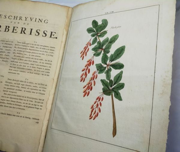 1763 Knoop Fructologia Dutch First Edition Hand-Colored Plates Complete Rare