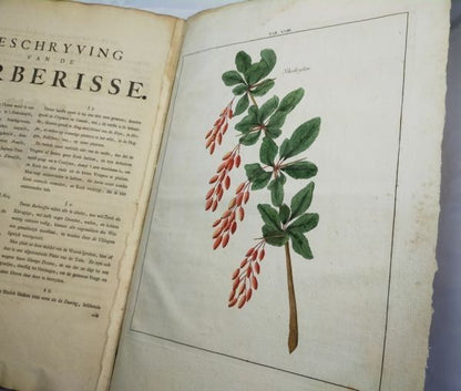 1763 Knoop Fructologia Dutch First Edition Hand-Colored Plates Complete Rare