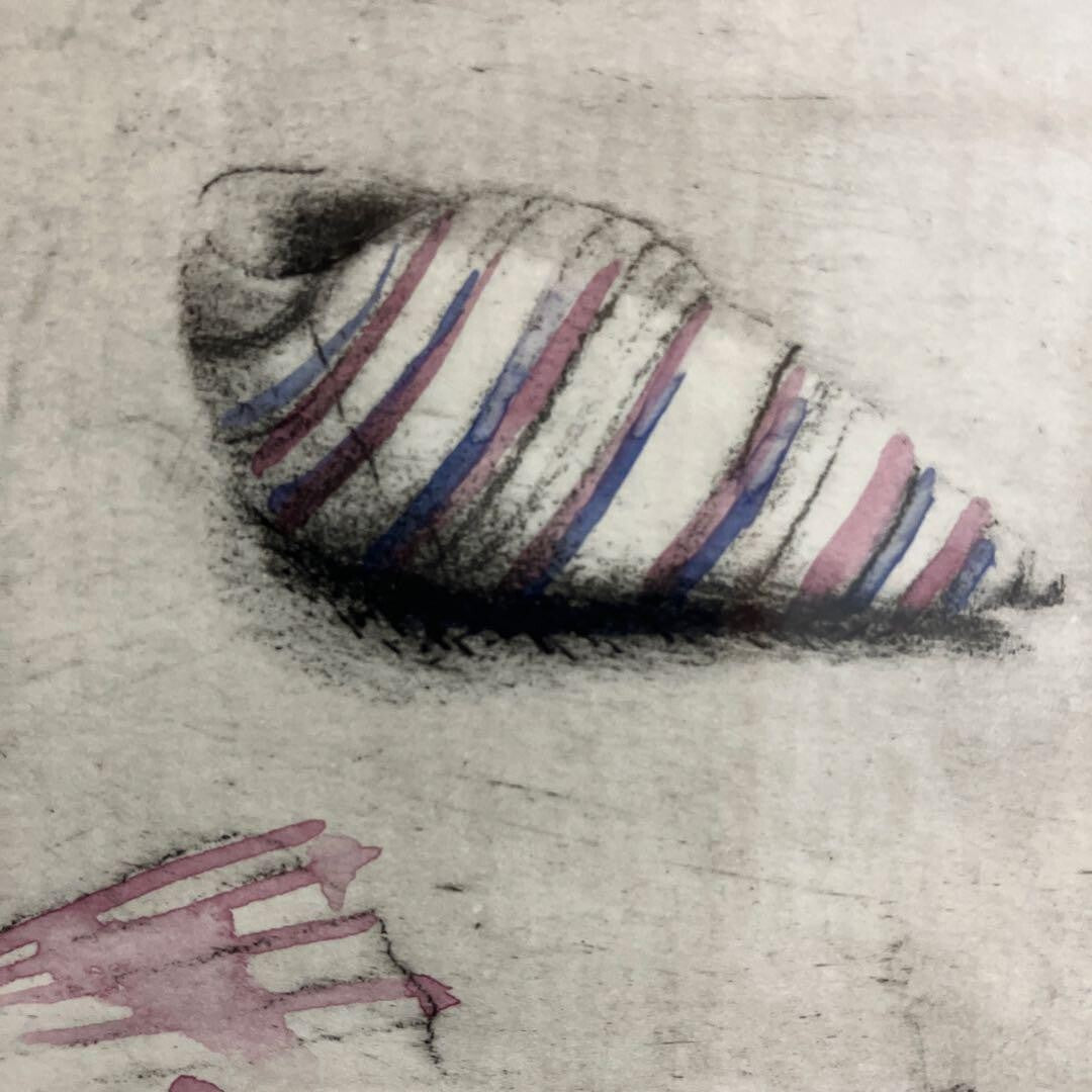 Alessandro Nocentini Original Etching Seashells