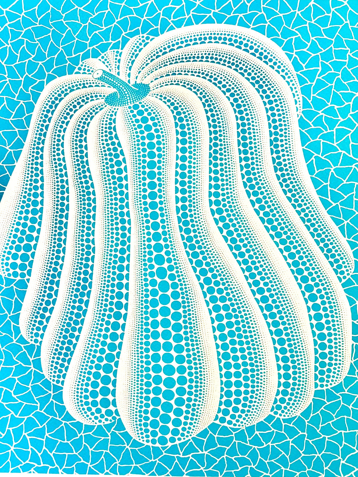 Yayoi Kusama Lithograph Mori Museum Coa Numbered Limited Fit