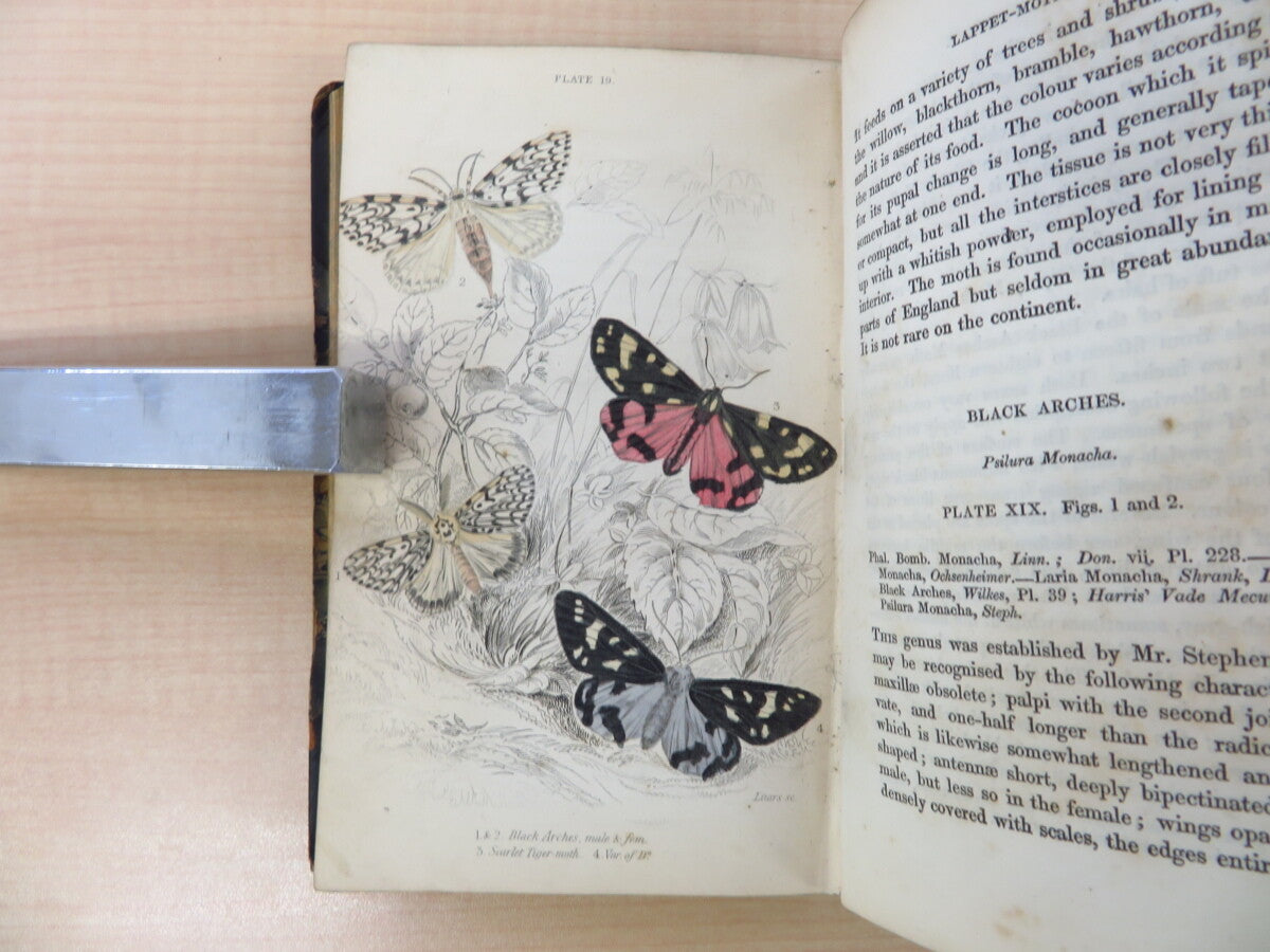 James Duncan?The Naturalist'S Library 4?1836 British Moth Book