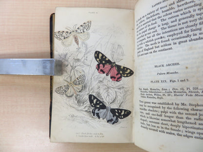 James Duncan?The Naturalist'S Library 4?1836 British Moth Book