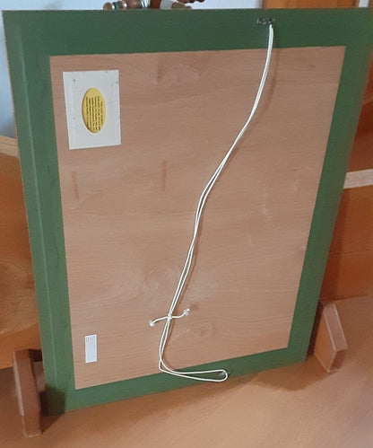 Framed Drew Struzan Lost World GICLEE Edition 30/ 250 Autographed