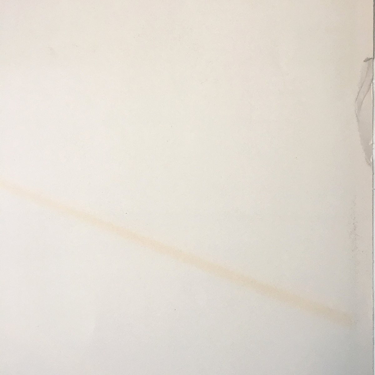 Kn Martin Boston Marathon 1981 Official Poster Silk Screen / Limited 5000 B.A.A.