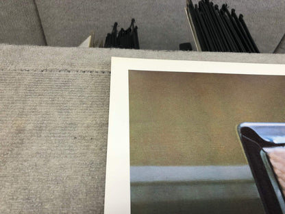 Ketchup RALPH GOINGS Color Pick 27" x 36.25" Poster 1982 Realism Red Multicolor