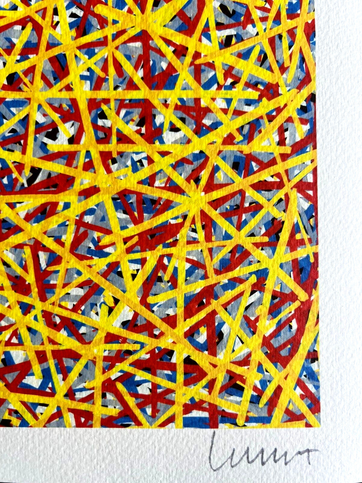 Sol Lewitt Lithograph Coa Signed By Hand Numbered Stamp