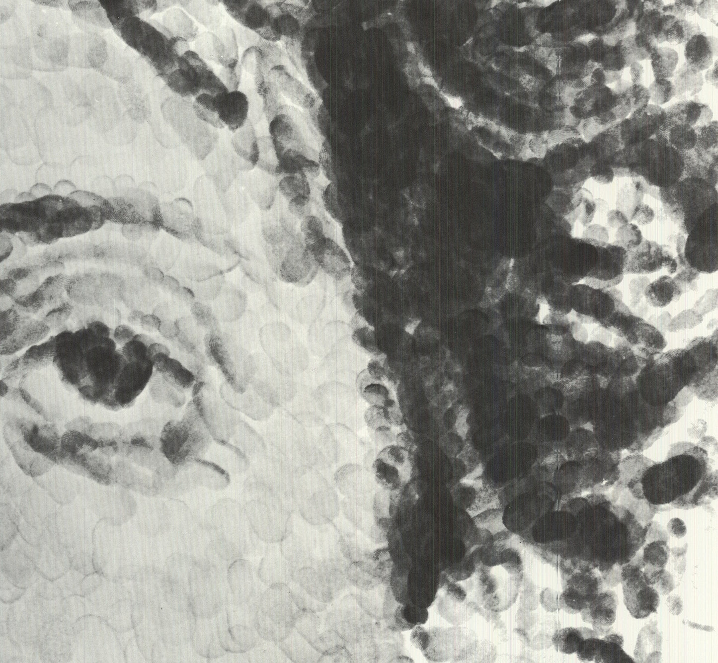 White CHUCK CLOSE Large Phil Fingerprint 38.5" x 26" Poster 1981 Realism Black &