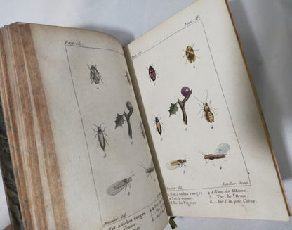 Tigny Histoire Naturelle Des Insectes Vol 4 Paris 1813 Handcolored Plates Rare