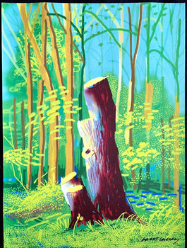 David Hockney Lithograph Coa Signed Op Numbered A