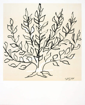 Henri Matisse Le Buisson 