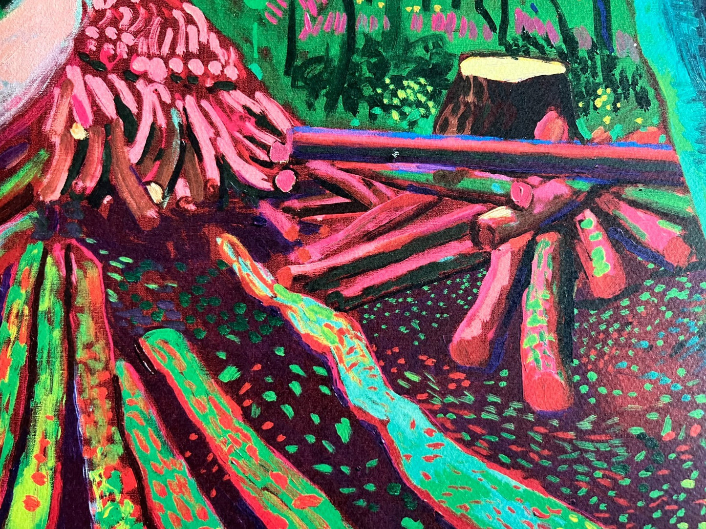 David Hockney Lithograph Coa Signed Op Numbered A Hand Limited &