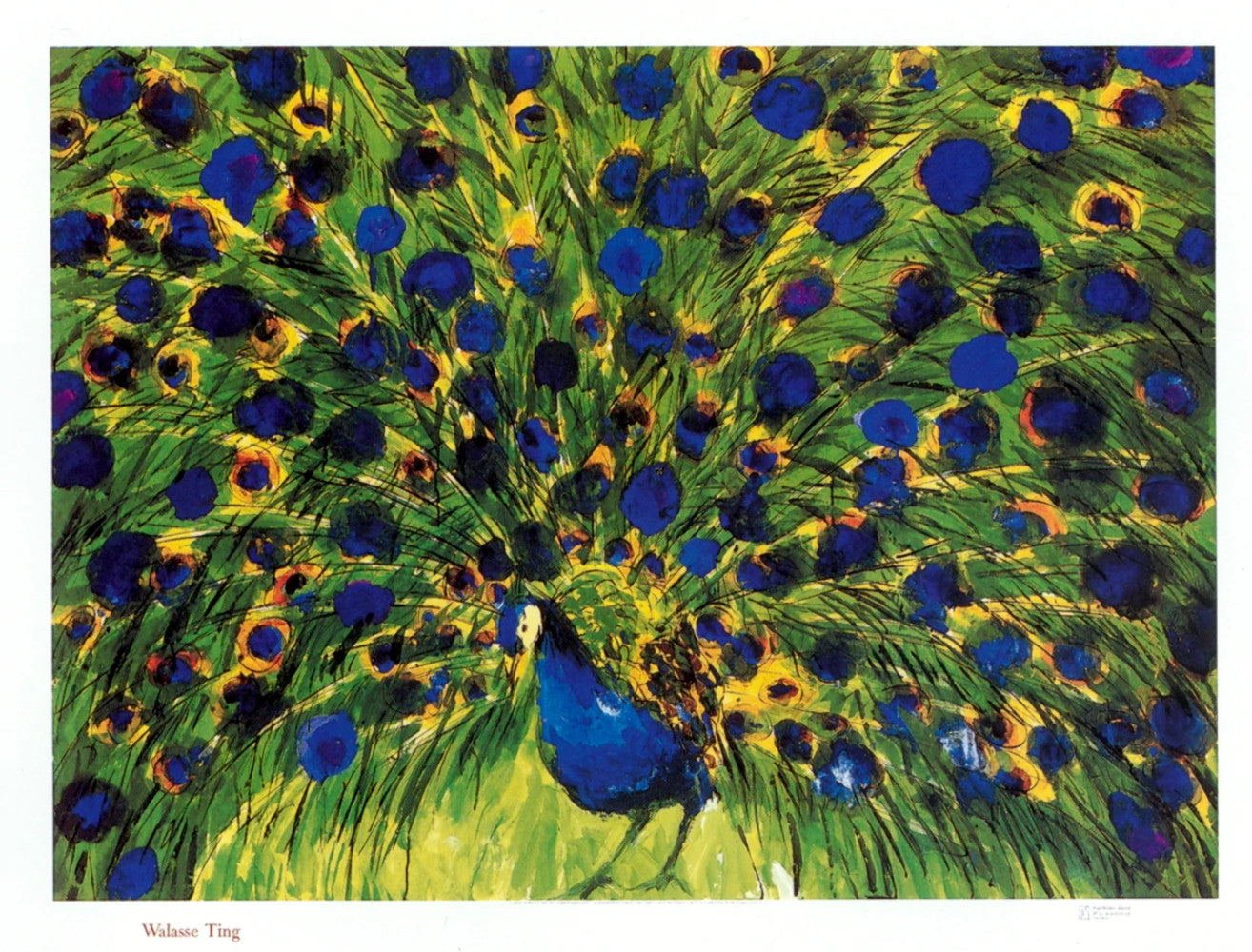 Walasse Ting Peacock " Poster Contemporary Feathers