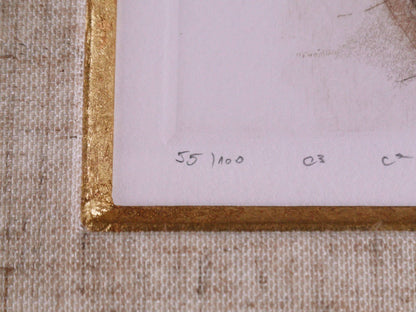 Daiva Staskeviciene (Lithuania) Etching Carmen 58/100 Pencil Signed Framed