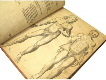 Syntagma Anatomicum Rare 17Th Medical Anatomy