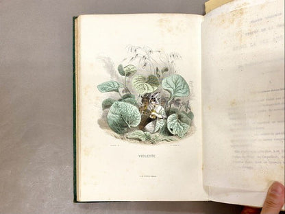 Les Fleurs Animees / J. J. Grandville Illustrated Book Two Volumes 1847