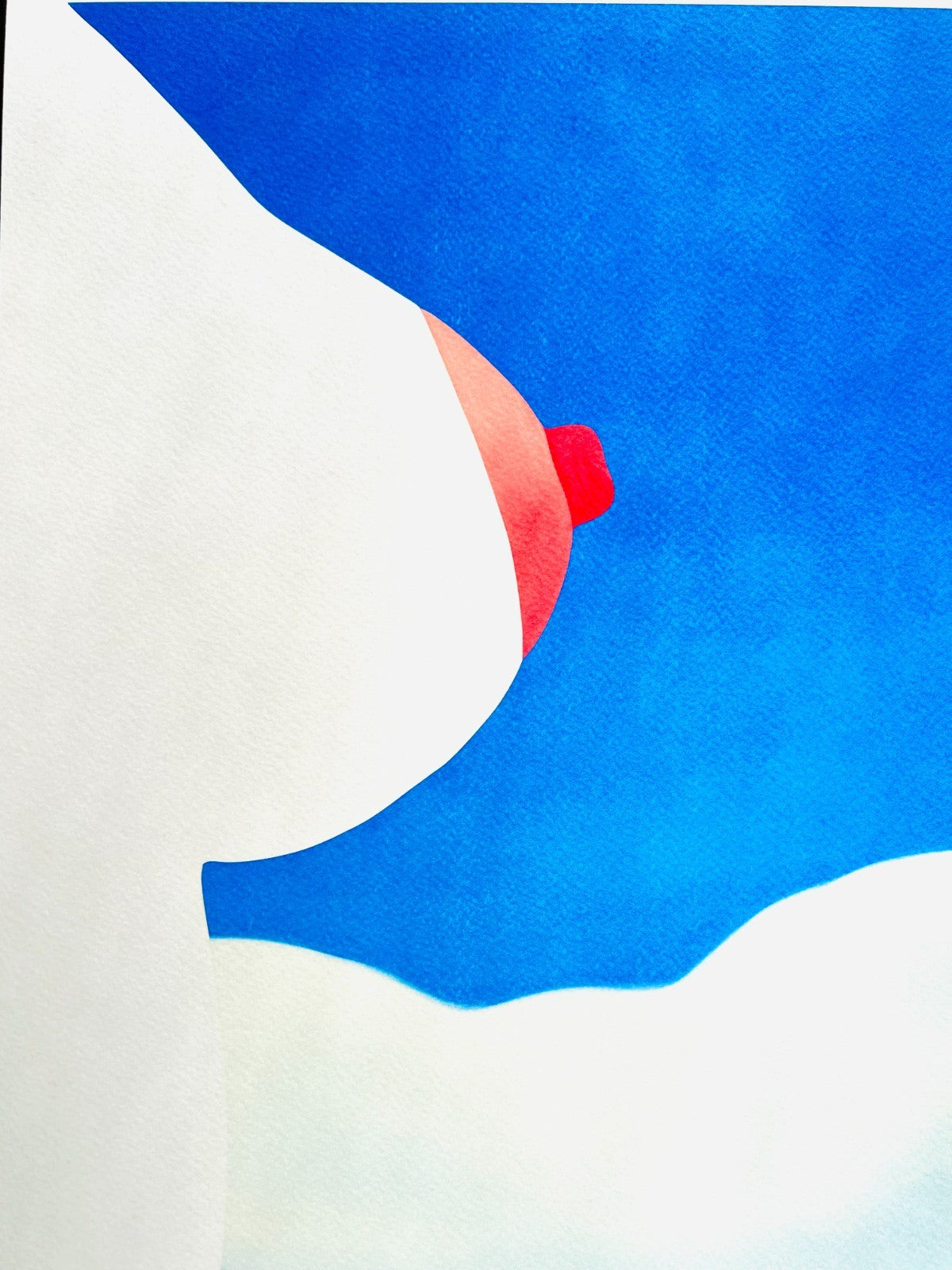 Tom Wesselmann Lithograph Coa Signed Op Numbered, Pencil