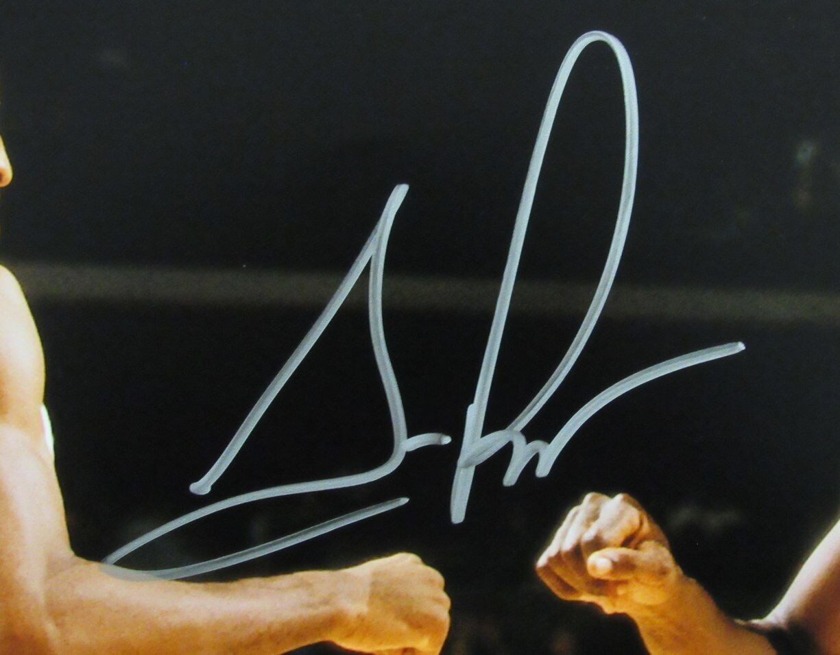 Scottie Pippen Hof Autographed 16X20 Photo Chicago Bulls Beckett 176458