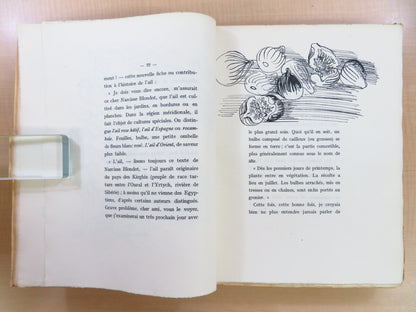 La Terre Frottee D'Ail Illustrated By Raoul Dufy Gustave Coquiot Signed 1925