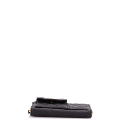 Chanel In & Out Zip Around Wallet Quilted Caviar Small