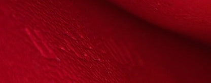 Celine Classic Box Bag Grainy Leather Medium