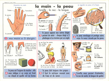 Contemporar EMILE DEYROLLE La Main- La Peau 29.5