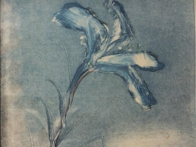 Mary Frank Signed Original Monoprint Flowers II on wove 1984