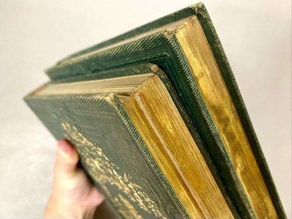 Les Fleurs Animees / J. J. Grandville Illustrated Book Two Volumes 1847