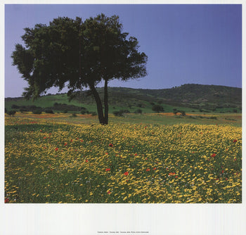 Archiv Kiedrowski Tuscany, Italy 